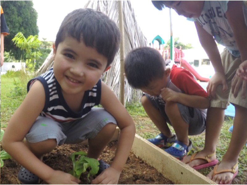 Urban Garden.jpg
